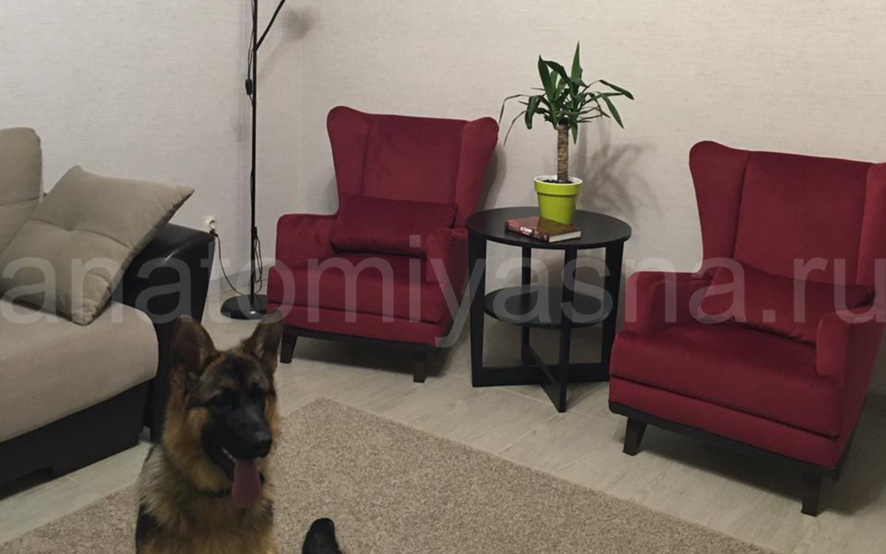 отзыв о Кресло Flepers Lion Ритм